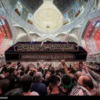 عکس/ حال وهوای حرم مطهر حضرت علی(ع) در آستانه اربعین حسینی