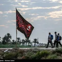 کردستان نمونه عینی وحدت شیعه و سنی شد