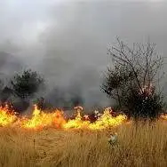 حریق در حدود ۱۰ هکتار از مراتع گردنه گوشنگلی بروجن