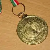 ۲ طلا و ۵ برنز دستاورد تیم تکواندو قم در اراک