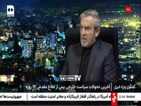 باقری کنی: اروپایی‌ها امکان استفاده از «اسنپ بک» را از لحاظ حقوقی و سیاسی ندارند