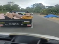 لحظه واژگونی وانت مملو از زنان