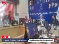 واکنش سخنگوی دولت به خبر فوت استاد فرشچیان