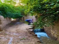 آرامش کوچه باغ های تفت یزد