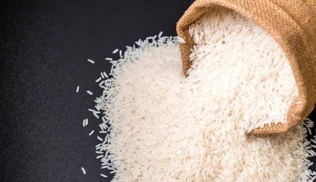کاهش ۳۰۰ هزار تنی تولید برنج در کشور