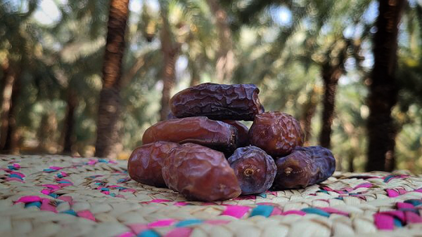 تعیین نرخ جدید خرما در حاجی‌آباد