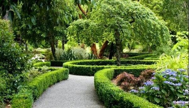 حضور در فضاهای سبز باعث رشد بهتر مغز کودکان میشود