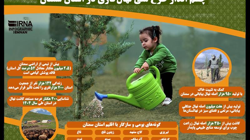 اینفوگرافیک | چشم انداز طرح ملی نهال‌کاری در استان سمنان