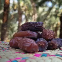 تعیین نرخ جدید خرما در حاجی‌آباد