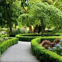 حضور در فضاهای سبز باعث رشد بهتر مغز کودکان می‌شود
