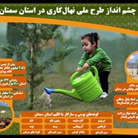 اینفوگرافیک | چشم انداز طرح ملی نهال‌کاری در استان سمنان