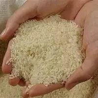 قیمت جدید برنج اعلام شد