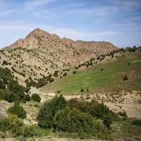 اجرای ۲ پروژه غنی‌سازی جنگل در استان قزوین