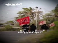 استوری/ اگر زخمی صد خار مغیلانم کنی عشق است