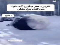 وقتی مربی میگه هرجات درد می کنه یخ بذار