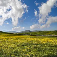  وزش باد و تداوم گرما در همدان 