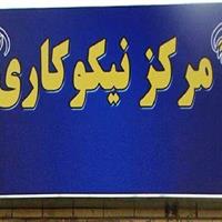 بیش از ۲۰۰ هزار خیر با کمیته امداد استان زنجان همکاری می‌کنند