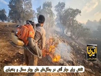 نبرد با آتش در جنگل‌های هلن چهارمحال و بختیاری در تابستان داغ