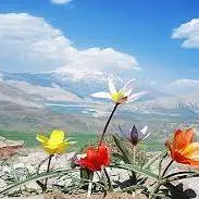 کاهش ۵ درجه‌ای دما در  شمال کشور 