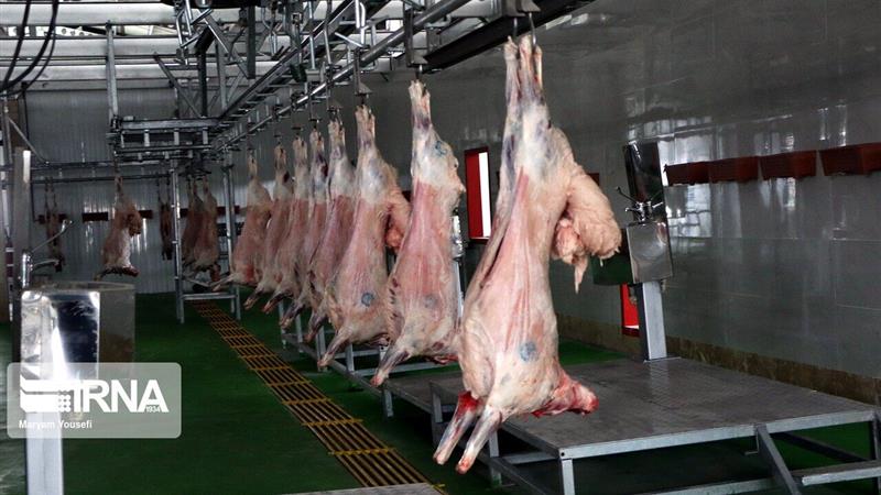 محوریت زنجان برای اجرای آزمایشی طرح خودکفایی تولید گوشت قرمز در کشور