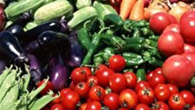 صادرات بیش از ۳۹ هزار تن محصول کشاورزی استان زنجان