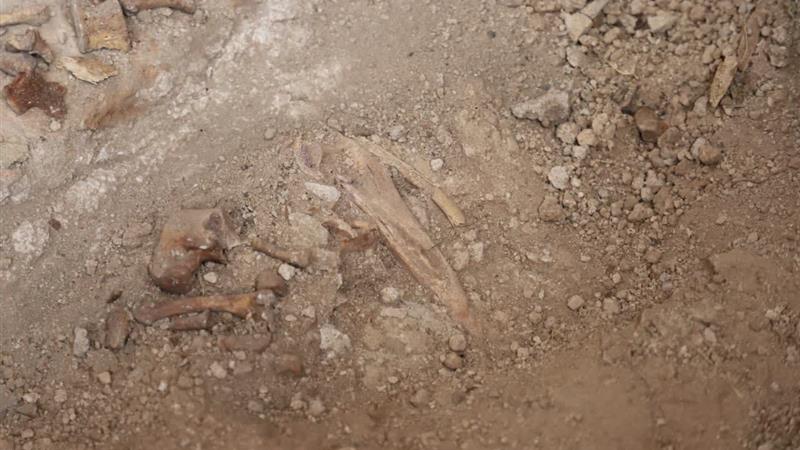گورستان سلطنتی ایلخانی در گنبد سلطانیه زنجان کشف شد