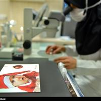 ناباروری حدود 20 درصد زوجین ایرانی/ارائه همه درمان‌های پیشرفته در داخل کشور