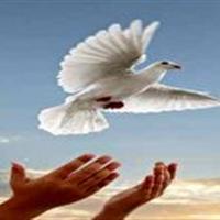 رهایی یک محکوم به قصاص در زنجان