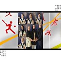 درخشش دختران رزمی کار در مسابقات ملی تکواندو