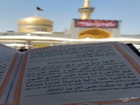 استوری/ السلام و علیک یا علی ابن موسی الرضا(ع)