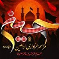 برگزاری مراسم عزاداری اربعین حسینی در حرم بانوی کرامت