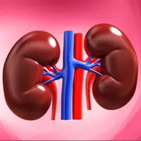 زنگ هشدار کلیه‌ها به صدا درمی‌آید