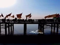 استوری/ ای کاش داغ تو عیادتی کند از دل ما...