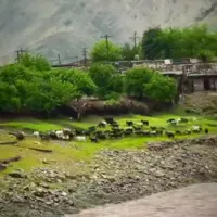 روستایی زیبا در لرستان