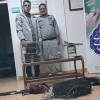 دستگیری متخلفین زنده‌گیری سهره طلایی در شاهین‌دژ