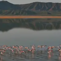 فعالیت شرکت پتاس در نزدیکی تالاب گاوخونی  متوقف شد