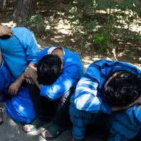 زورگیران مسلح با سلاح سرد در شهرک ولیعصر تهران دستگیر شدند