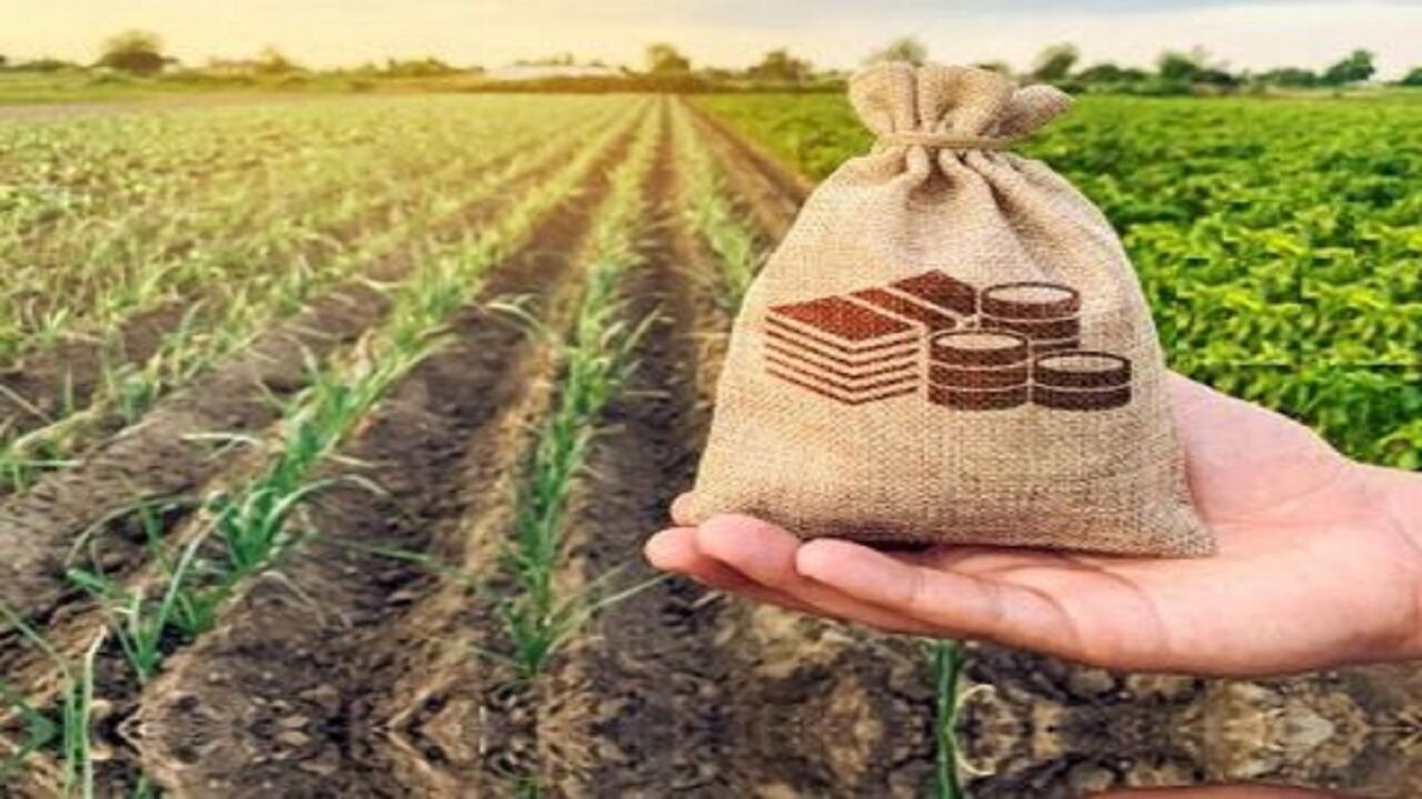 پرداخت غرامت به کشاورزان آسیبدیده کهگیلویه و بویراحمد