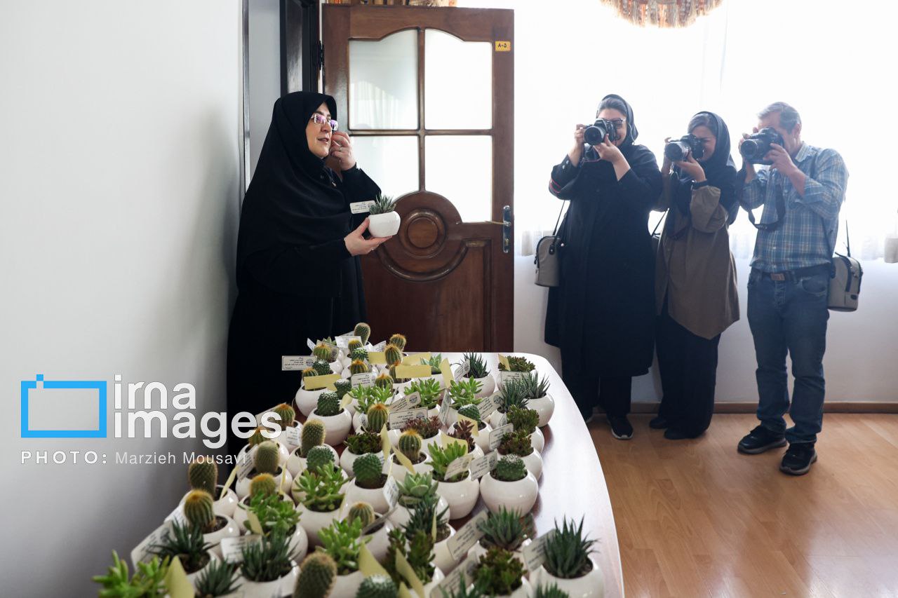 نشست خبری سخنگوی دولت 