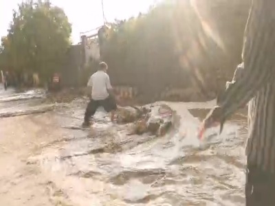 سیل در چرام