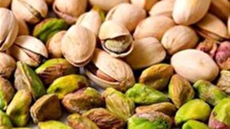 فعالیت ۴۲ واحد ترمینال ضبط پسته در خراسان جنوبی