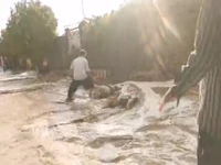 سیل در چرام