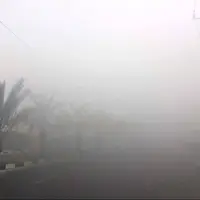 ۱۲ شهر بوشهر در کوره بالای ۴۰ درجه‌ای؛ شرجی به ۹۴ درصد رسید