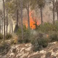 آتش سوزی‌های سریالی در اسرائیل همچنان ادامه دارد
