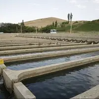 تولید سالانه بیش از ۲۵ هزار تُن ماهی در کهگیلویه و بویراحمد