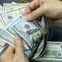 توقف افزایش ۳۰ درصدی قیمت نهاده‌ها؛ پشت پرده پروژه ارز ترکیبی کالاهای اساسی چه بود؟