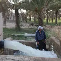 با دستور استاندار خوزستان، آب به نخلستان‌های شادگان رسید