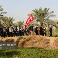اعزام ۲ هزار دانشجوی فارس به همایش پیاده‌روی اربعین حسینی