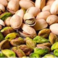 فعالیت ۴۲ واحد ترمینال ضبط پسته در خراسان جنوبی