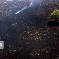 مهار آتش سوزی در مراتع ساوجبلاغ